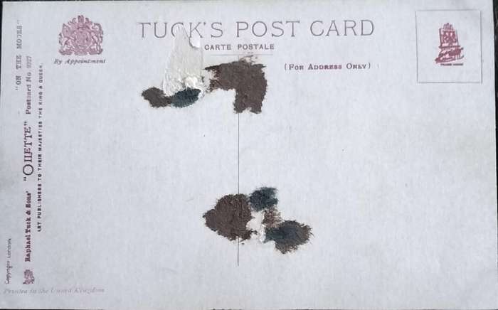 Vintage Post Card - Dogs