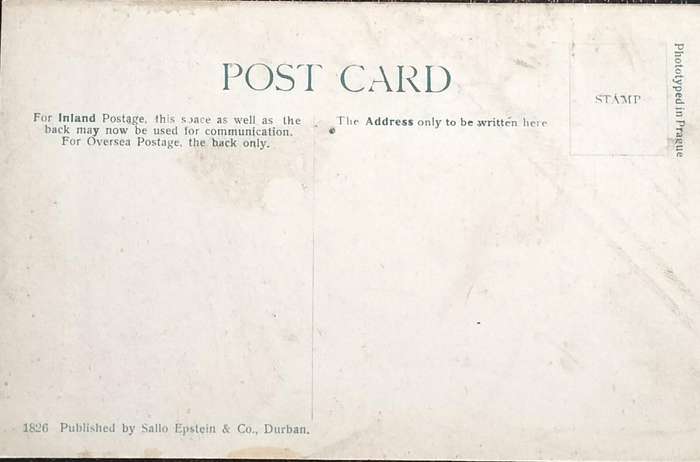 Vintage Heidelberg post card (Unused)