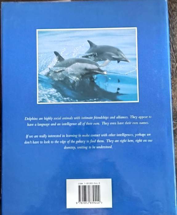 Dolphins (Catton - 1995)