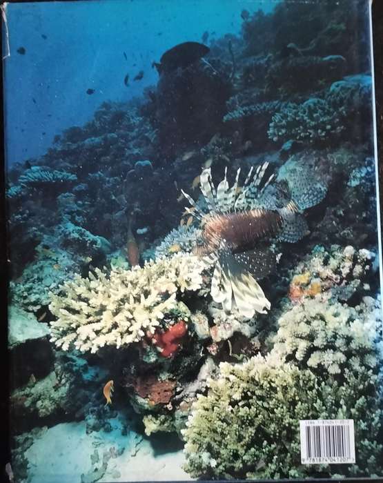 Journey through Maldives (1992)