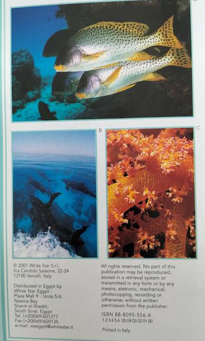 Hurghada diving guide (2001)