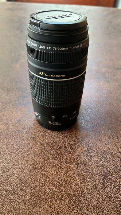Canon USM EF 75-300mm Lens