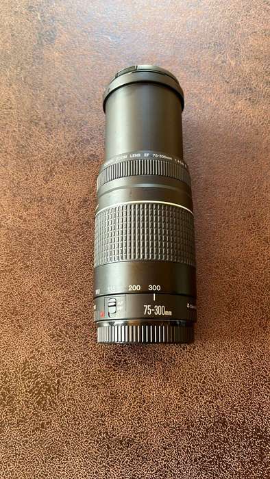 Canon USM EF 75-300mm Lens
