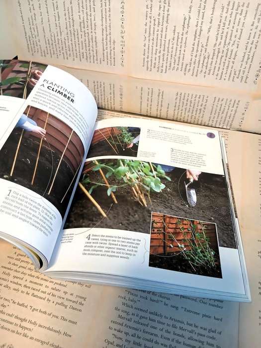 Beginner Gardening Step by Step: A Visual Guide to Yard and Garden Basics by DK