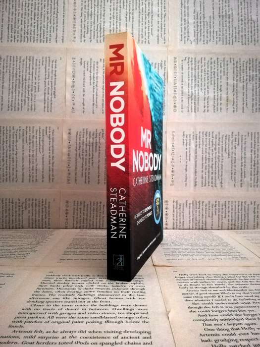 Mr Nobody by Catherine Steadman