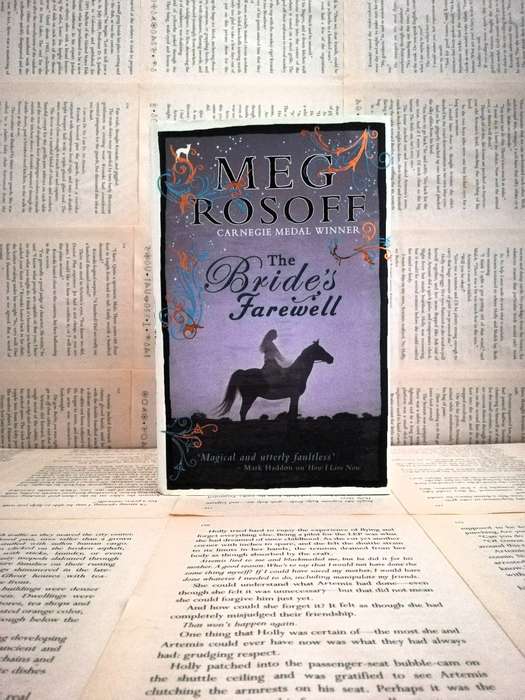 The Bride's Farewell by Meg Rosoff