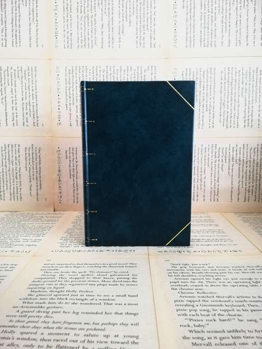 The Yermakov Transfer by Derek Lambert [Vintage] [1975]
