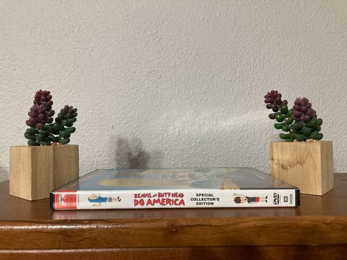 Beavis and Butt-Head Do America (Special Collector's Edition) - DVD - NTSC