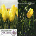 Overcoming Jealousy Self Hypnosis with Master Hypnotherapist Jason Sandler
