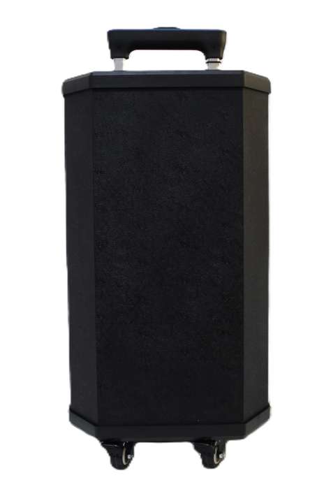 Lexuco 10'' Portable Bluetooth Trolley Speaker