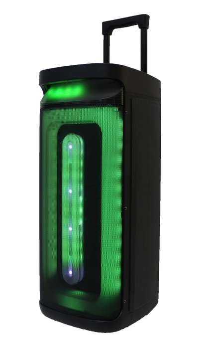 Lexuco 8'' Double Bluetooth Trolley Speaker