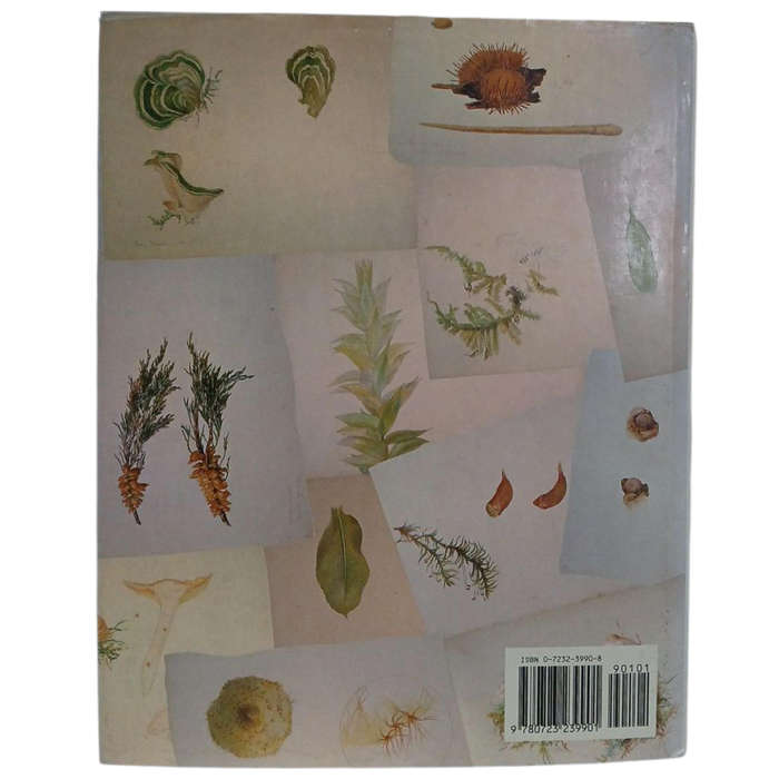 1992 A Victorian Naturalist Beatrix Potter, Drawings from the Armitt Collections by Eileen Jay, Mary