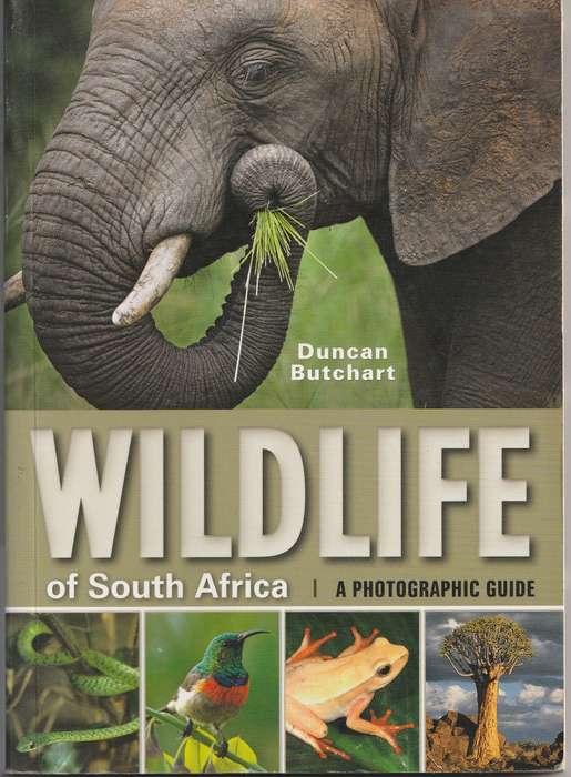WILDLIFE OF SOUTH AFRICA: A PHOTOGRAPHIC GUIDE by Duncan Butchart