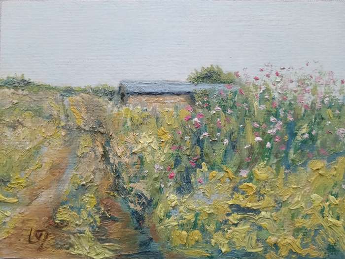 Cosmos on farm