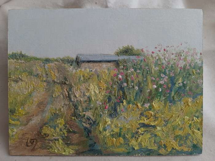 Cosmos on farm