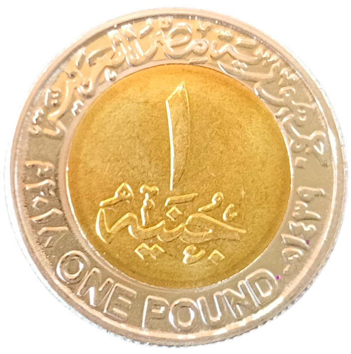 Egypt One Pound Coin