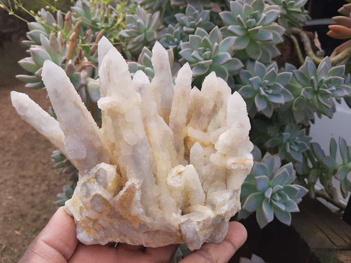 FAIRY QUARTZ CLUSTER 1.195kg