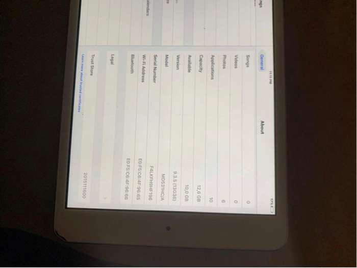 Apple iPad