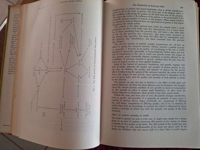 The Simple Fleece by Alan Barnard First Edition 1962 (Sheep Farming Australia)