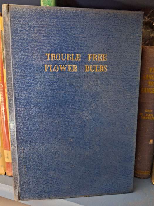 Trouble Free Flower Bulbs-Capel Hemy