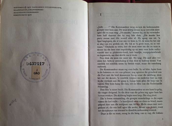 die seun in die pad-pieter w grobbelaar- 1971 1st edition. Afrikaans Text.