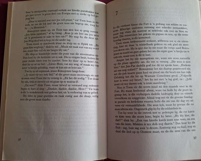 die seun in die pad-pieter w grobbelaar- 1971 1st edition. Afrikaans Text.