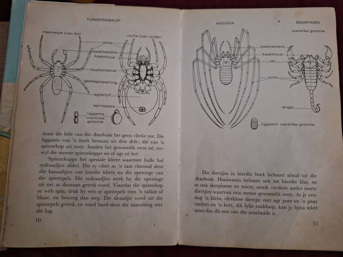 Spinnekoppe en Skerpioene/Die Diereryk-Reeks/JL Cloudsley-Thompson -1972 1st edition/ Afrikaans Text