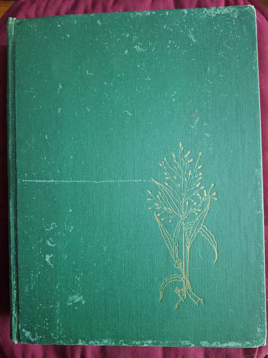 The GRASSES and PASTURES of SOUTH AFRICA 1955 first edition.
