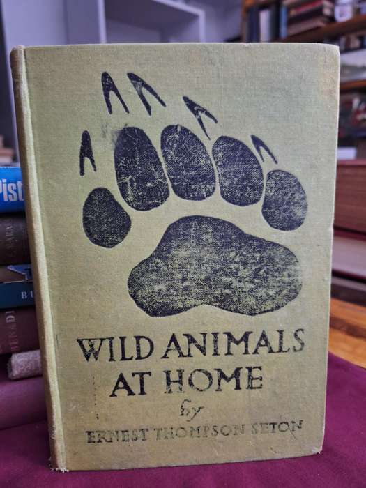 WILD ANIMALS AT HOME by Ernest Thompson Seton - rare - 1920 edition