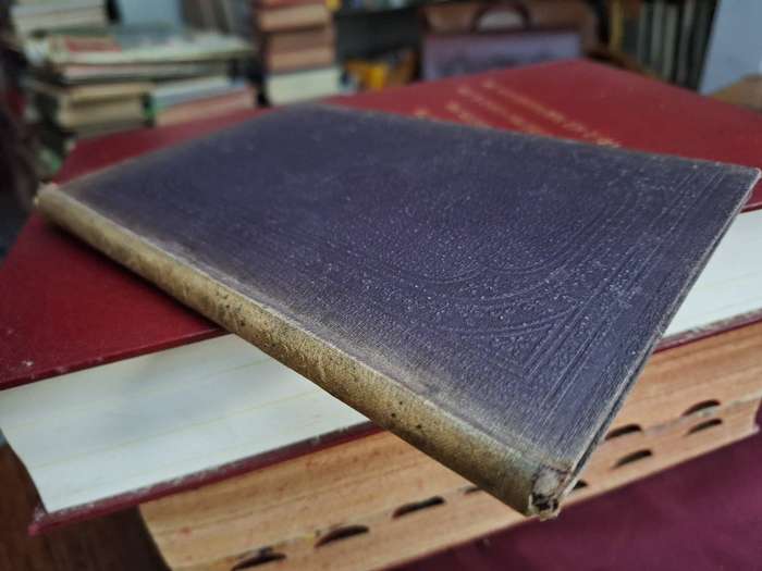 STEVEN v den BERG, de kleine boer uit ..... J VAN 'T LINDENHOUT -1882 rare/Dutch-Spirituality.