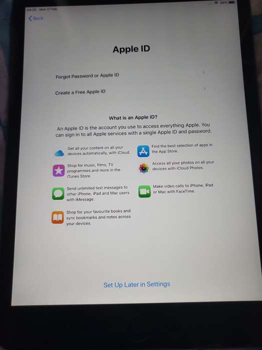iPad mini 2