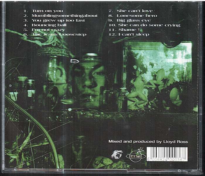 Matthew van der Want - Turn On You CD