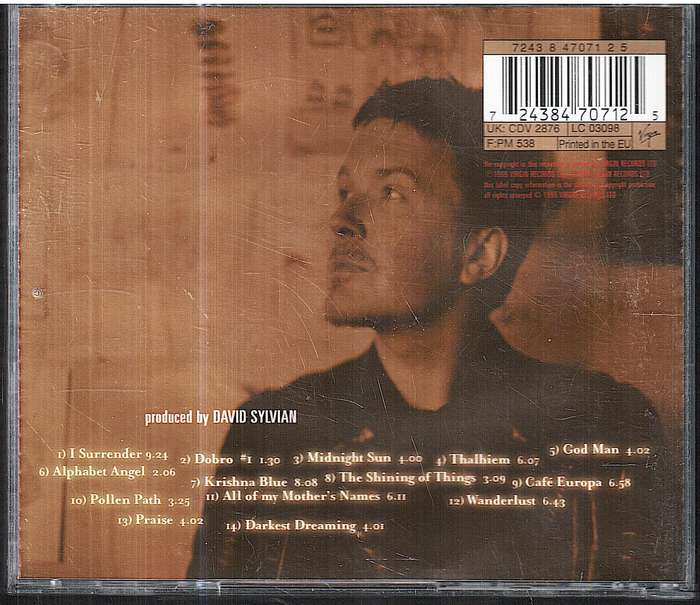 David Sylvian - Dead Bees on a Cake CD