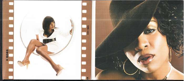 Divine Brown - The Love Chronicles CD Foldout Digisleeve