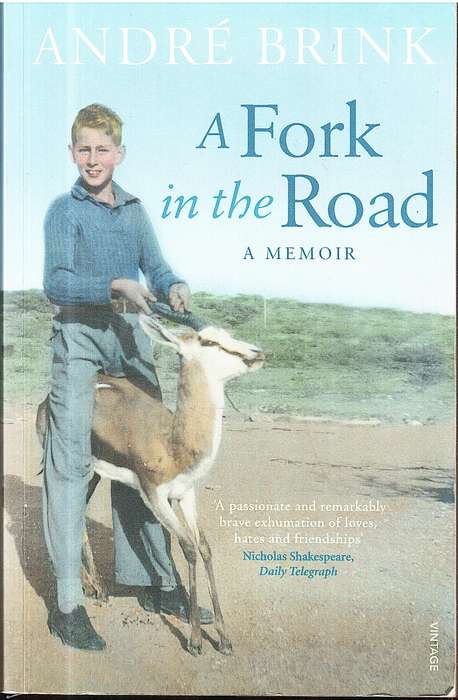 A Fork in the Road - Andre Brink