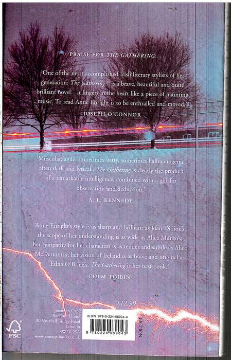 The Forgotten Waltz - Anne Enright