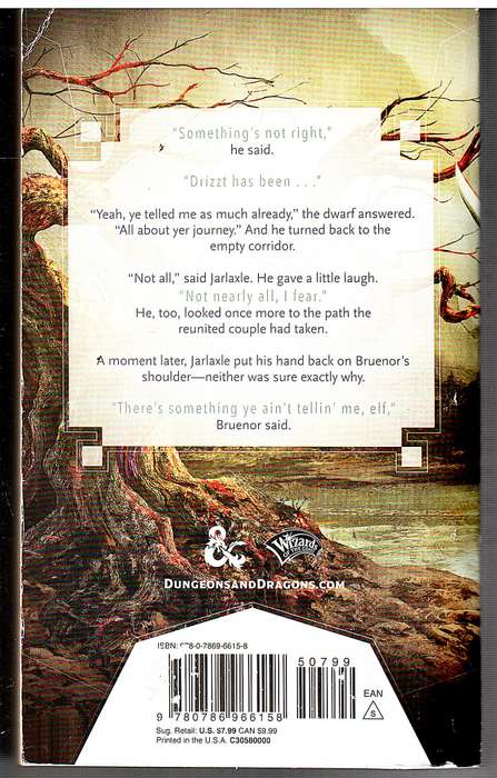 The Legend of Drizzt 33 / Homecoming Book III: Hero - RA Salvatore