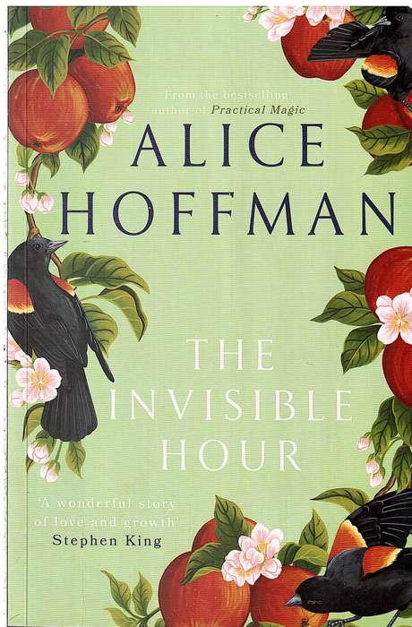 The Invisible Hour - Alice Hoffmann
