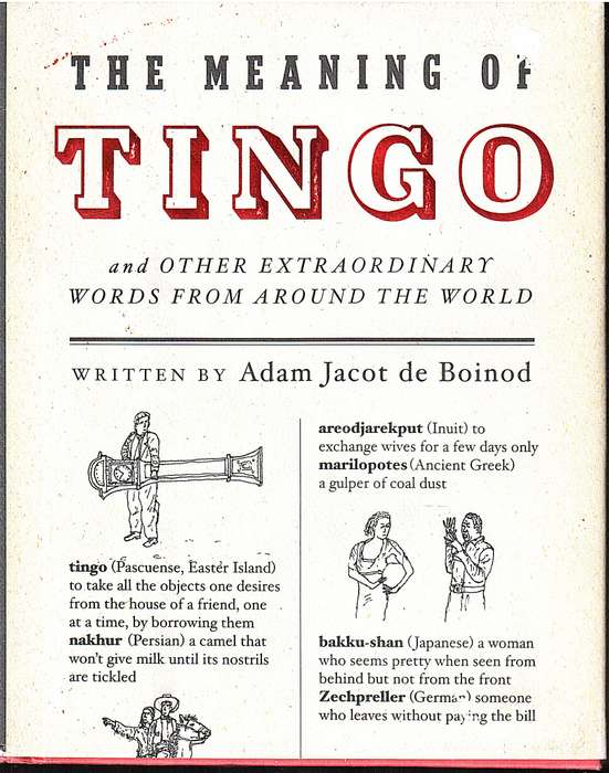 The Meaning of TINGO...and Other Extraordinary Words from Around the World - Adam Jacot de Boinod