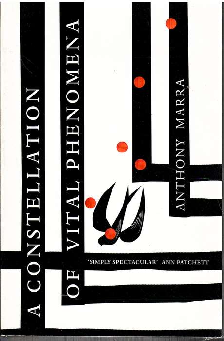 A Constellation of Vital Phenomena - Anthony Marra