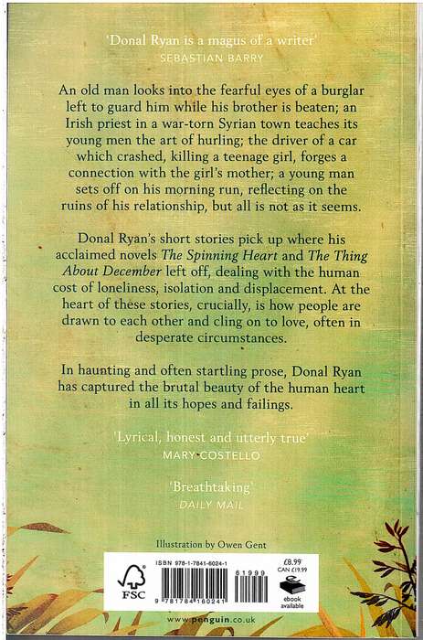 A Slanting of the Sun - Donal Ryan