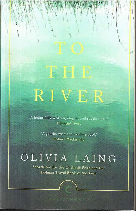 To the River: A Journey Beneath the Surface - Olivia Laing
