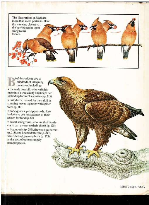 Birds: Their Life, Their Ways, Their World - Reader's Digest