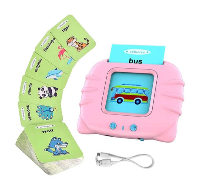 Rechargeable electronic flash card reader