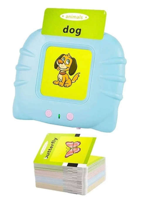 Rechargeable electronic flash card reader