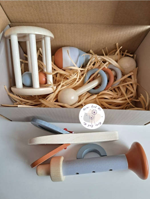Set of five wooden baby musical instruments set