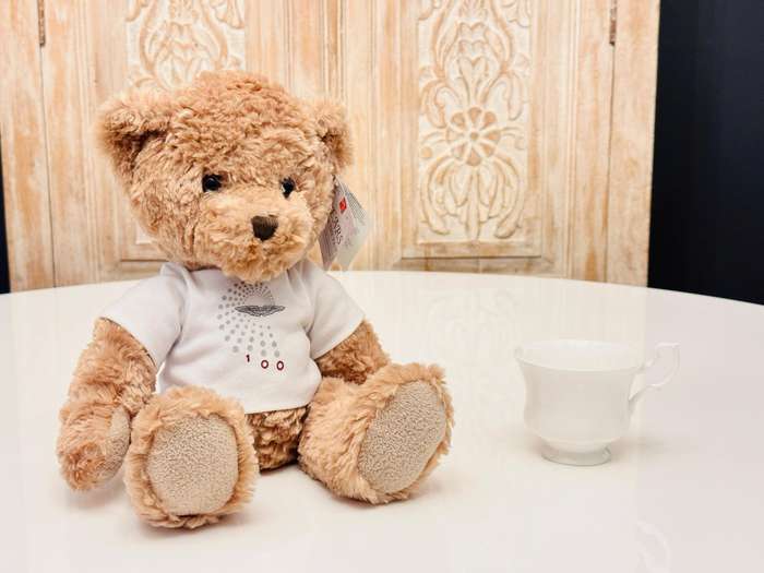 Limited Edition Aston Martin 100 Year Anniversary Large Collectable Bear