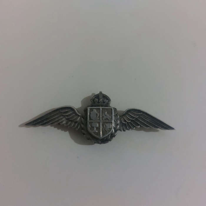 WorldSAAF Navigators Pin