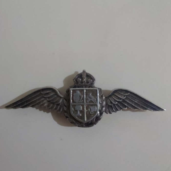 WorldSAAF Navigators Pin
