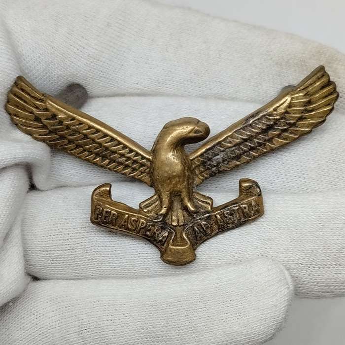 SAAF South African Airforce Cap Badge #M0036